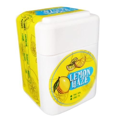 Contenedor de plástico - Imagen 2